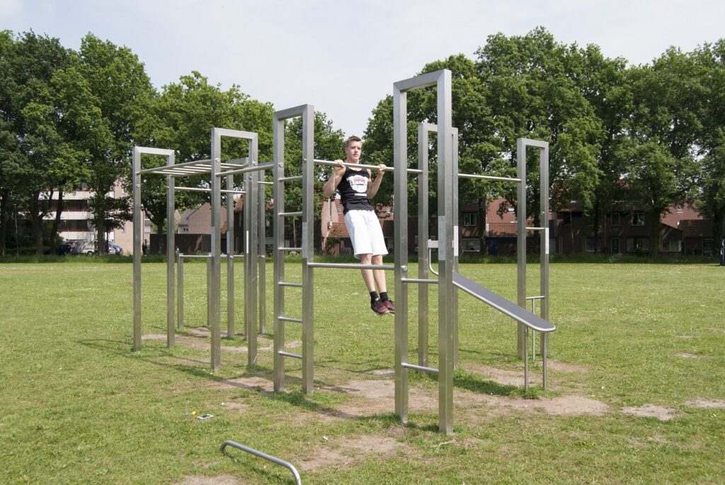 IJslander BarForz S demoveld