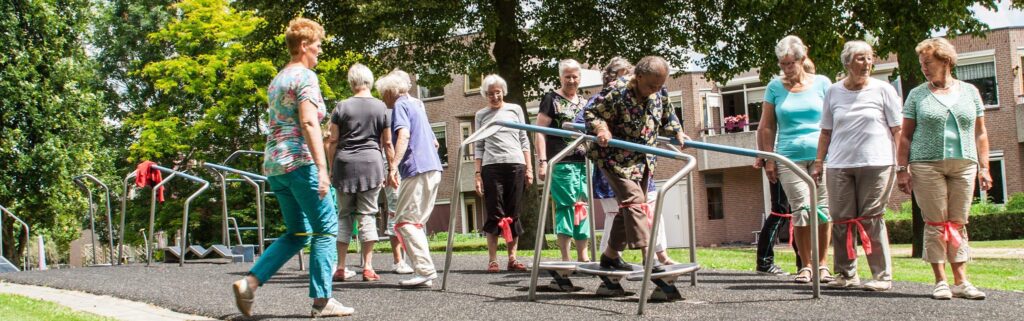 Beweegtoestel Wankelweg voor ouderen, buiten fitness senioren