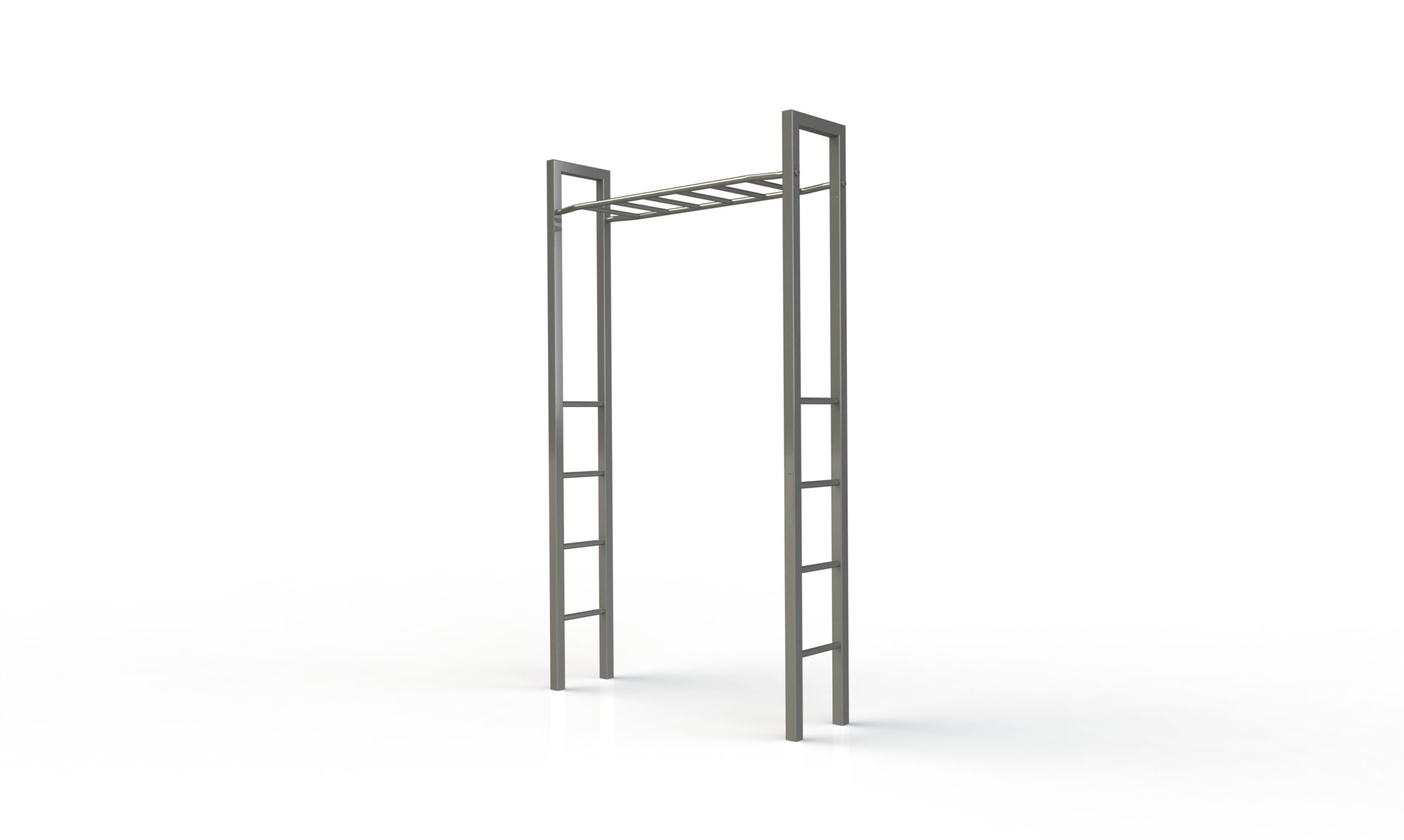 monkey bar calisthenics