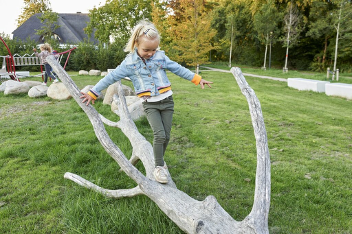 naturo lijn - ijslander